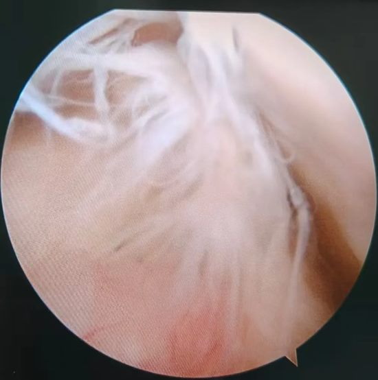 640_副本 640_副本