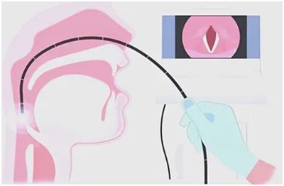 640_副本 640_副本