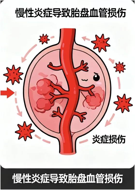 640 (2)_副本 640 (2)_副本