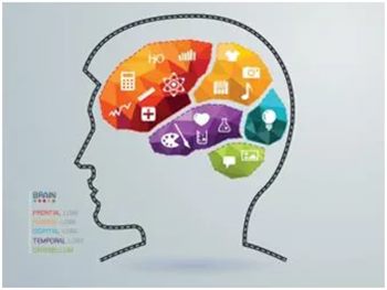 640_副本 640_副本