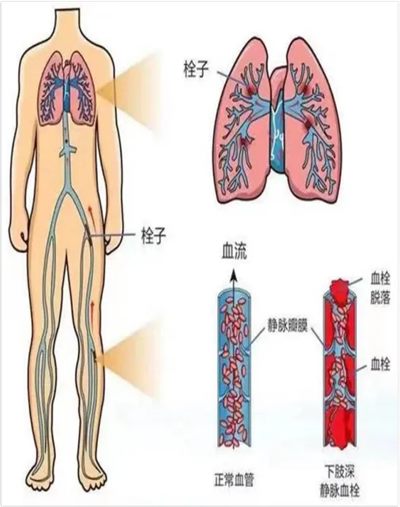 640_副本 640_副本