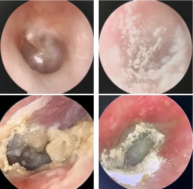 QQ截图20251111082543 QQ截图20251111082543