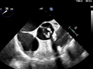 640 (2)_副本 640 (2)_副本