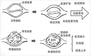 640 (1)_副本 640 (1)_副本