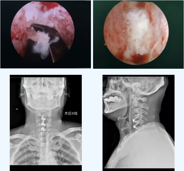 QQ截图20260206082940 QQ截图20260206082940