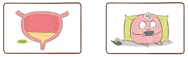 QQ截图20260209083041 QQ截图20260209083041