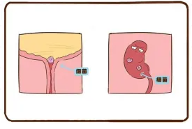 QQ截图20260209083113 QQ截图20260209083113