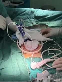 640 (2)_副本 640 (2)_副本