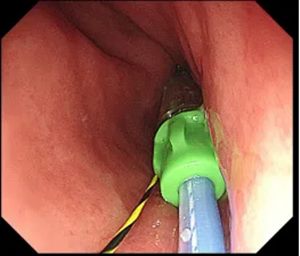 640_副本 640_副本