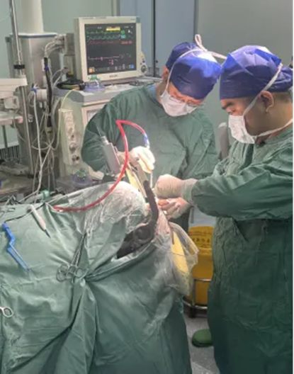 640_副本 640_副本