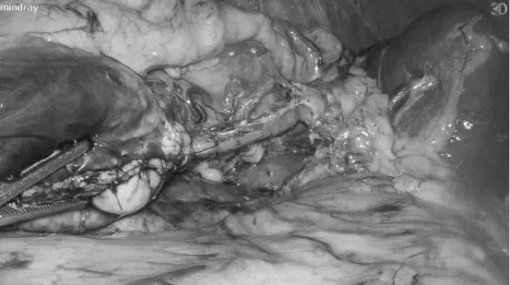 640 (1)_副本_副本 640 (1)_副本_副本